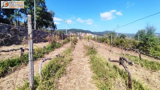 Annonce Vente Domaine agricole Esposende