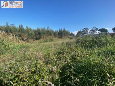 Acheter Terrain Caldas-da-rainha 60000 euros