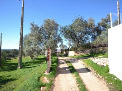 Acheter Terrain Faro rgion FARO