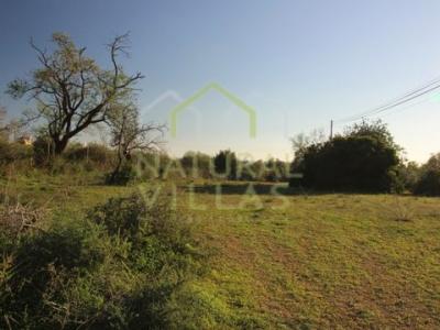 Annonce Vente Terrain Olhao