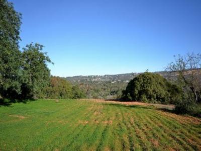 Annonce Vente Terrain Loule