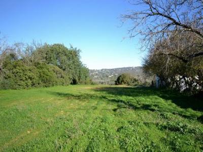 Acheter Terrain 7841 m2 Loule