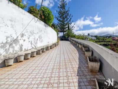 Acheter Maison Calheta rgion MADEIRA