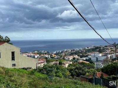 Annonce Vente Terrain Funchal