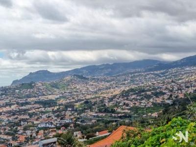 Acheter Terrain 2910 m2 Funchal