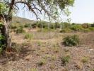 Acheter Terrain 4480 m2 OLHAO