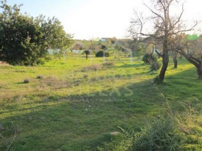 Acheter Terrain 6080 m2 Olhao