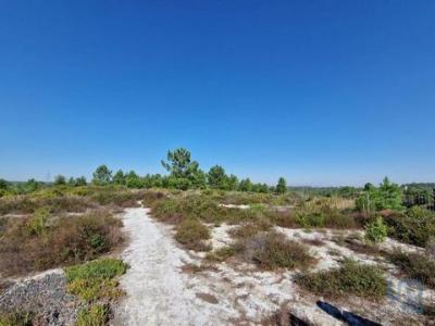 Acheter Terrain Fernao-ferro rgion SETUBAL