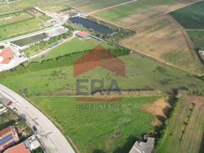 Acheter Terrain 8000 m2 Peniche