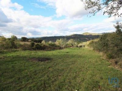 Annonce Vente Terrain Ferreira-do-zezere