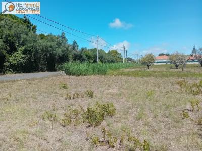 Annonce Vente Terrain Caldas-da-rainha