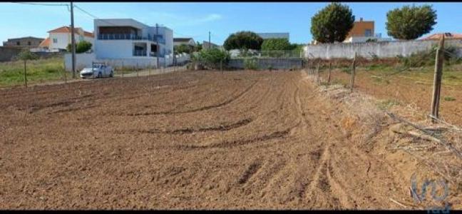 Acheter Terrain 1080 m2 Torres-vedras