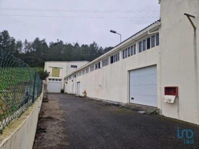 Annonce Vente Local industriel Alcobaca