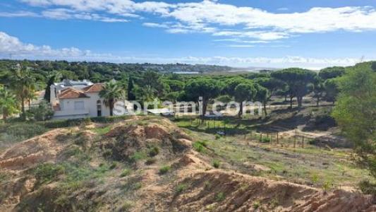 Annonce Vente Terrain Loule