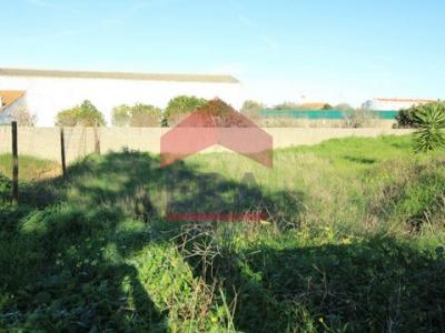 Acheter Terrain 247 m2 Peniche