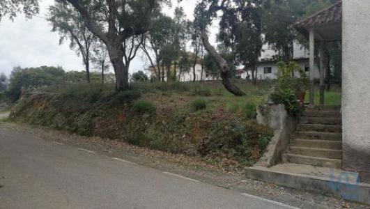 Annonce Vente Terrain Pedrogao-grande