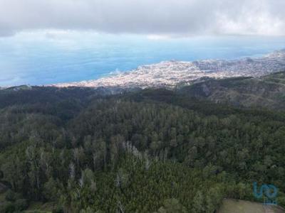 Acheter Terrain 32767 m2 Funchal