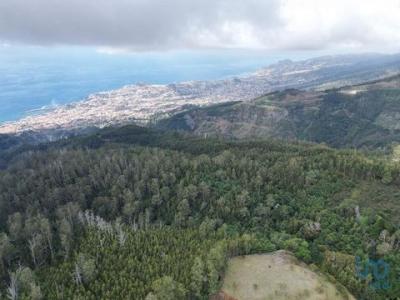 Acheter Terrain Funchal rgion MADEIRA