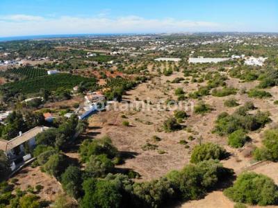 Acheter Terrain 2000 m2 Loule