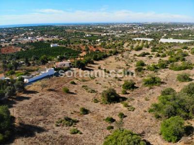 Acheter Terrain Loule rgion FARO