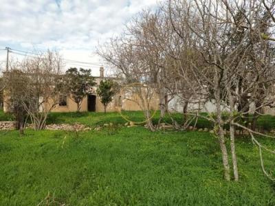 Annonce Vente Terrain Loule