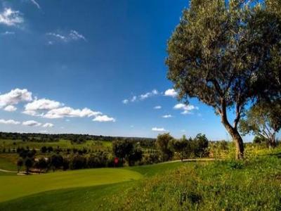 Acheter Terrain Silves rgion FARO