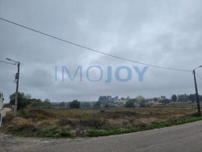 Acheter Terrain 16720 m2 Sintra