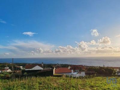 Acheter Terrain Madalena rgion ACORES