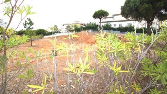 Annonce Vente Terrain Loule