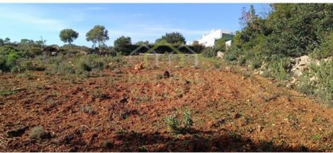 Acheter Terrain 23720 m2 Olhao