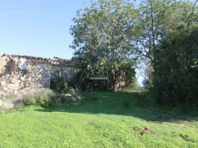 Annonce Vente Terrain Loule