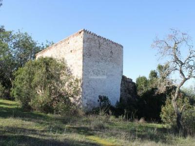 Acheter Terrain Loule rgion FARO