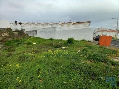 Annonce Vente Terrain Nazare