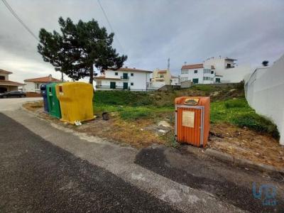 Acheter Terrain Nazare rgion LEIRIA