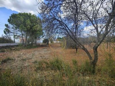 Annonce Vente Terrain Loule