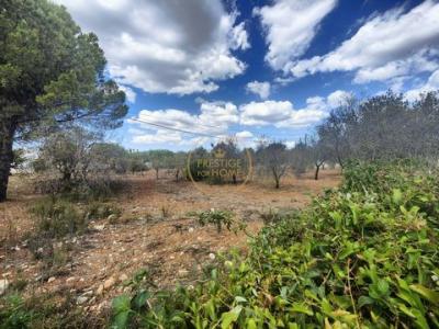 Acheter Terrain 300 m2 Loule