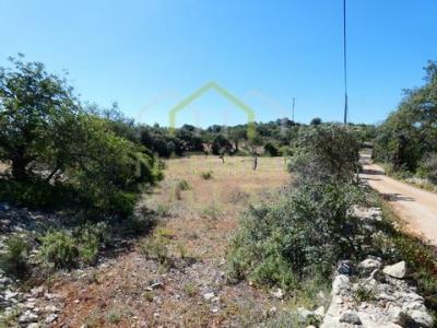 Annonce Vente Terrain Loule