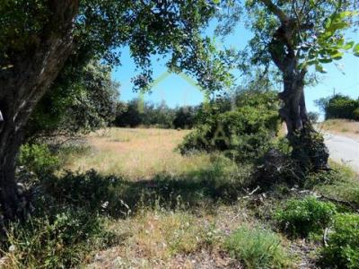 Acheter Terrain 1440 m2 Loule