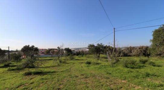 Annonce Vente Terrain Loule