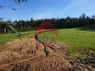 Acheter Terrain Lourinha rgion LISBOA