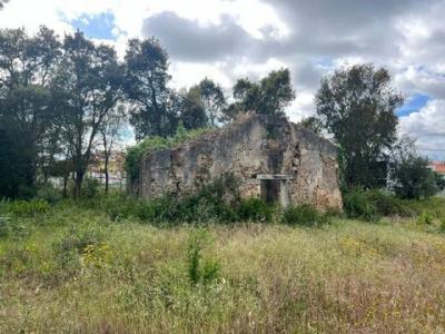 Acheter Terrain Condeixa-a-nova rgion COIMBRA