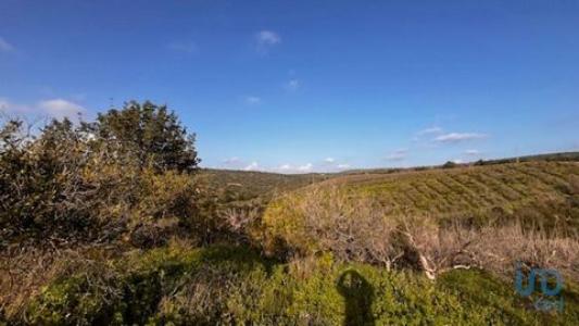 Acheter Terrain 29810 m2 Loule