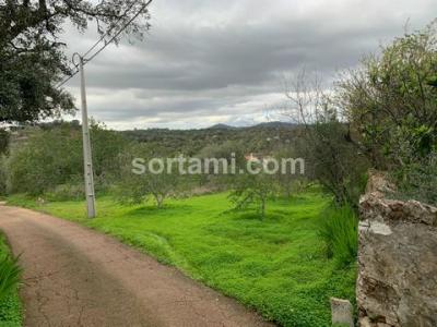 Annonce Vente Terrain Loule