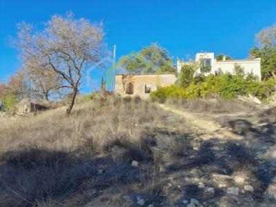 Annonce Vente Terrain Loule