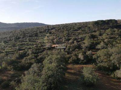 Acheter Terrain 106 m2 Loule