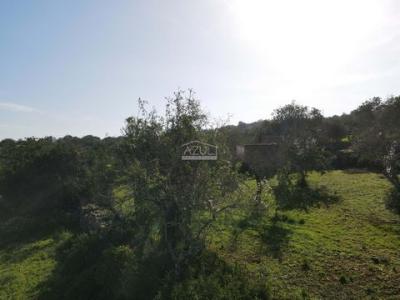 Acheter Terrain 56 m2 Loule