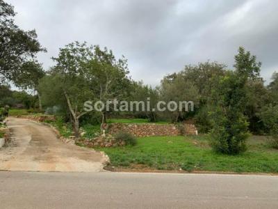 Annonce Vente Terrain Loule