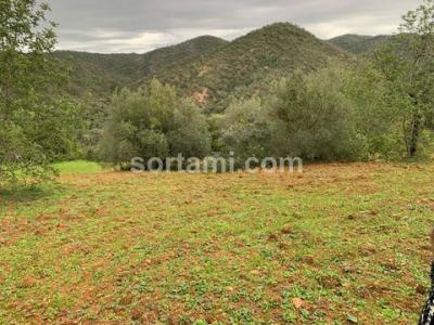 Annonce Vente Terrain Loule