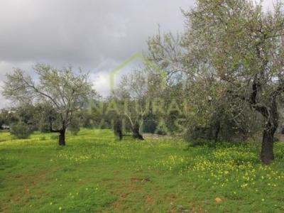 Acheter Terrain 45 m2 Faro