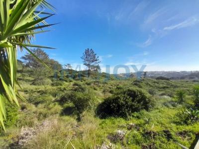 Vente Terrain Amoreiras ERICEIRA 11 au Portugal